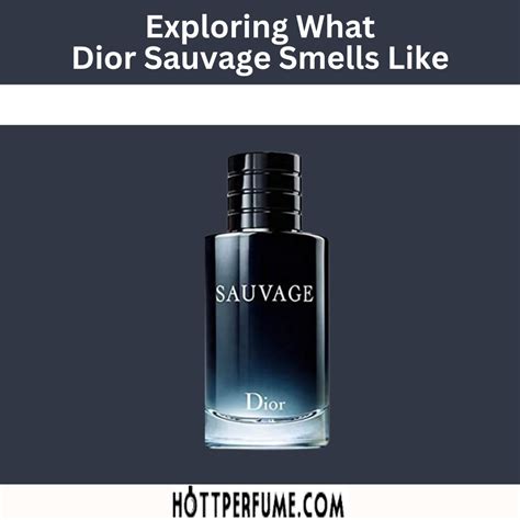 what does dior sauvage smell like reddit